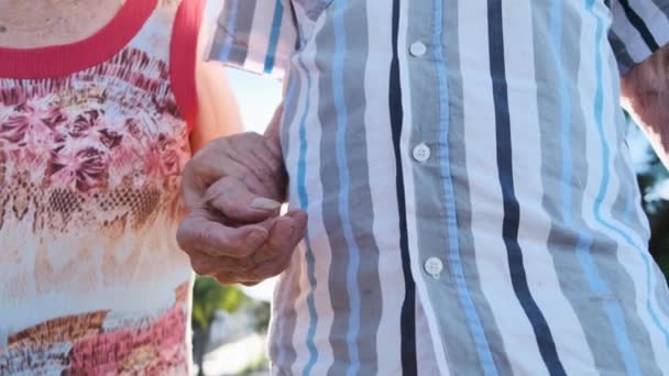 Preciosa Pareja Ancianos Caminando Juntos Fuera — Vídeo de stock