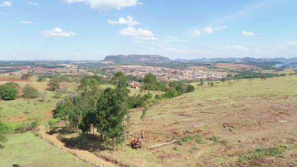 Werknemer Gekapt Bomen Groen Veld — Stockvideo