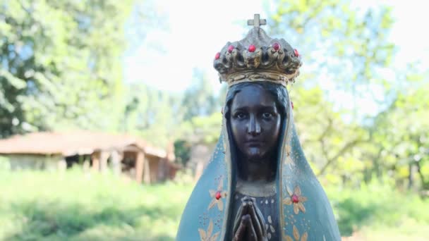 Estátua Virgem Maria Jardim Verde — Vídeo de Stock