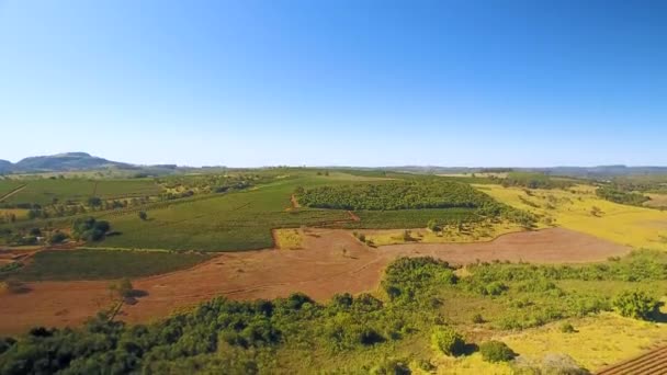 Vista Aérea Campo Cultivado — Vídeo de Stock