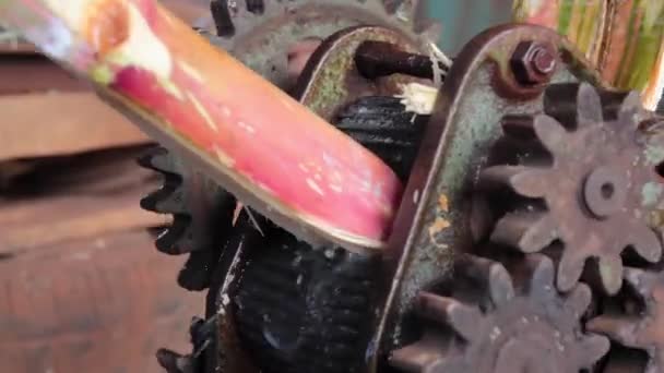机器从手杖上挤榨果汁的近景 — 图库视频影像