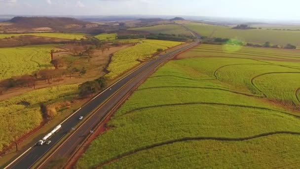 Verkeer Door Groen Cultuurveld — Stockvideo