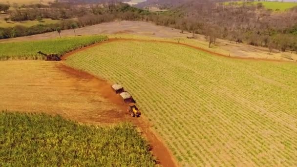 Vista Aérea Del Campo Cultivo Del Tractor — Vídeos de Stock