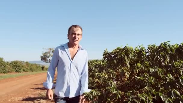 Dospělý Muž Kráčí Blízkosti Zelených Keřů Kontroluje Rostliny — Stock video