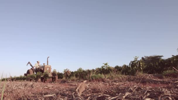 Man Working Tractor Field — Stock Video