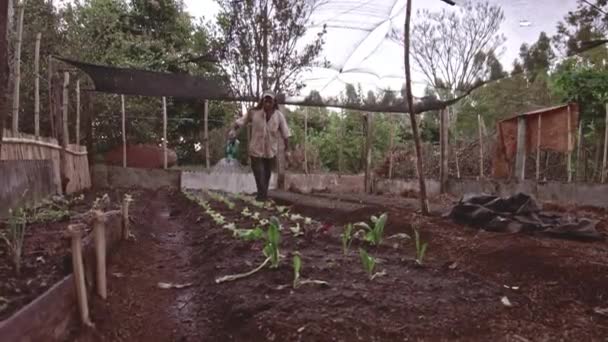 庭に植物に水を注ぐ男 — ストック動画