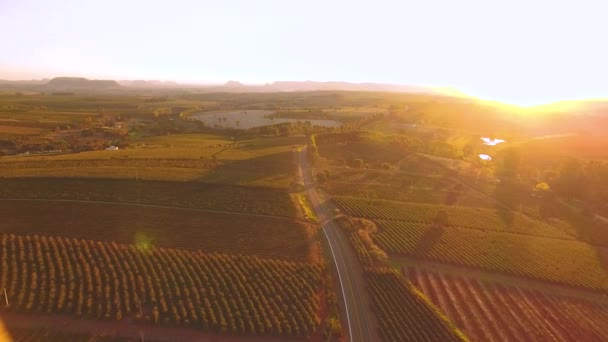 Trafic à travers les champs cultivés verts 
