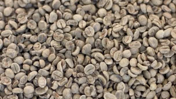 一目了然的生咖啡豆 — 图库视频影像