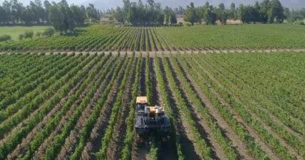 Vista Aérea Campo Cultivo — Vídeo de Stock