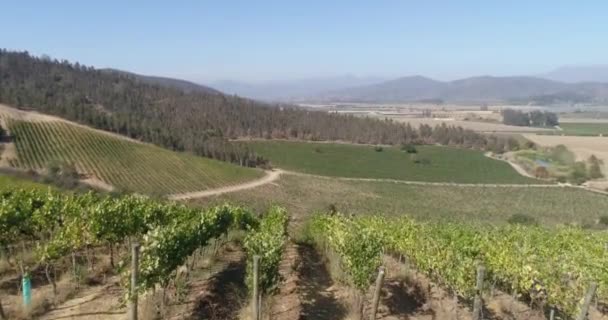 Vista Aérea Campo Cultivo — Vídeo de Stock