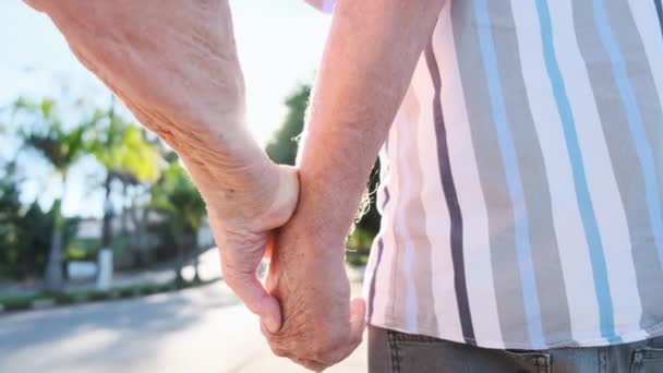 Adorável Casal Velho Andando Juntos Fora — Vídeo de Stock
