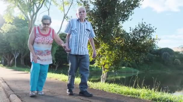 Adorável Casal Velho Andando Juntos Fora — Vídeo de Stock