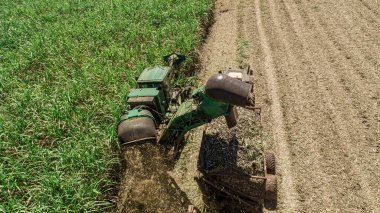 Brezilya 'da güneşli bir günde şeker kamışı hasadı. Hava görünümü.