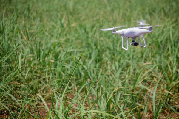 Drone Bianco Che Vola Sopra Campo Verde — Foto Stock