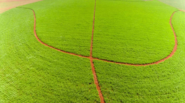 绿地的空中景观 — 图库照片