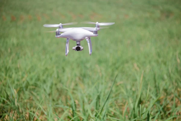 Drone Blanco Volando Sobre Campo Verde —  Fotos de Stock