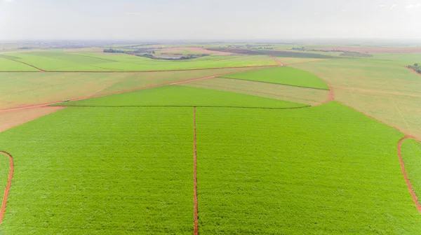 Vista Aérea Campo Verde — Fotografia de Stock