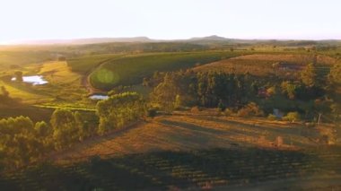 Tarım alanının havadan görünüşü