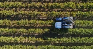 Alan ekiminin havadan görünüşü