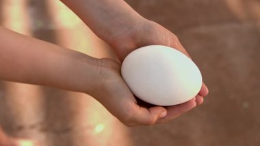 Çocuk elleri çiftlikte tavuk ya da ördek taşır.