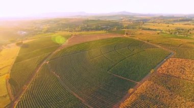 Tarım alanının havadan görünüşü