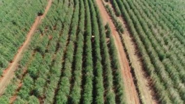 Tarım alanının havadan görünüşü
