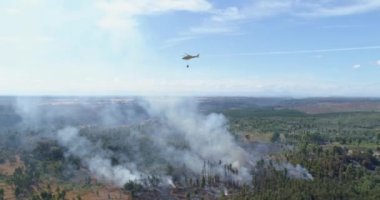 Yanan ağaçlarla manzara, doğal felaket.