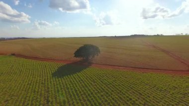 Tarım alanının havadan görünüşü