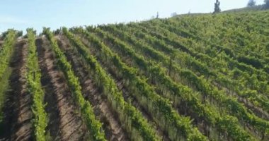 Alan ekiminin havadan görünüşü