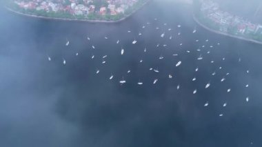 Rio de Janeiro Rıhtımı, Brezilya.