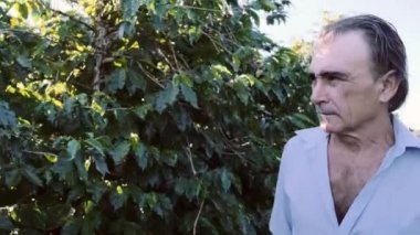 Olgun adam yeşil çalıların yanında yürüyor, bitkileri kontrol ediyor..