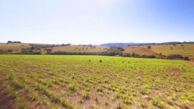 Tarım alanının havadan görünüşü