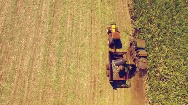 Homme Travaillant Sur Tracteur Sur Terrain — Video