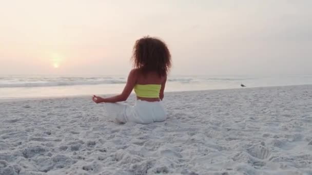 Mignonne Femme Bouclée Amuser Poser Sur Plage — Video