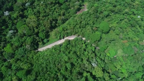 Vista Aérea Das Colinas Cobertas Árvores Verdes — Vídeo de Stock