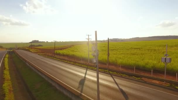 Trafic Travers Les Champs Cultivés Verts — Video