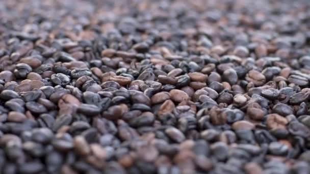 Vue Rapprochée Des Grains Café Torréfiés Tasse Café — Video