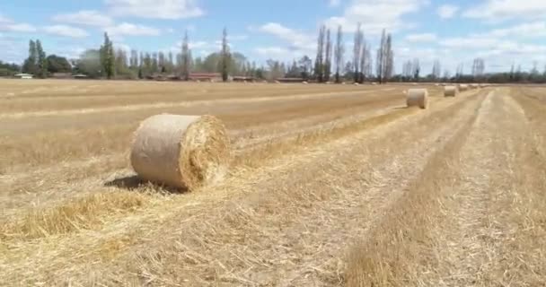 Saman Yığınları Olan Tarım Arazisi — Stok video