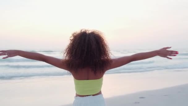 可爱的卷曲的女人在海滩上摆姿势很开心 — 图库视频影像