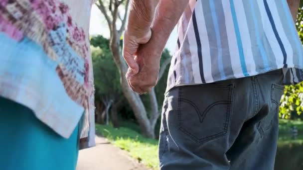 Dışarıda Birlikte Yürüyen Sevimli Yaşlı Çift — Stok video