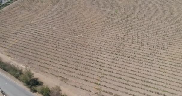 Voar Sobre Campo Agrícola — Vídeo de Stock