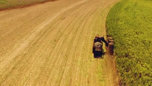 Вид Воздуха Тракторное Поле — стоковое видео