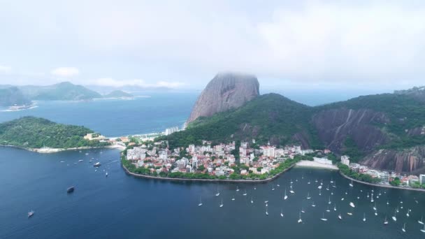 Rio Janeiro Waterfront Yachts Brazil — Stock Video