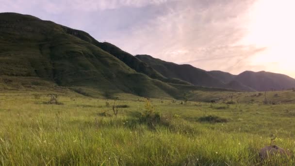Пейзаж Зелених Гір Вдень — стокове відео