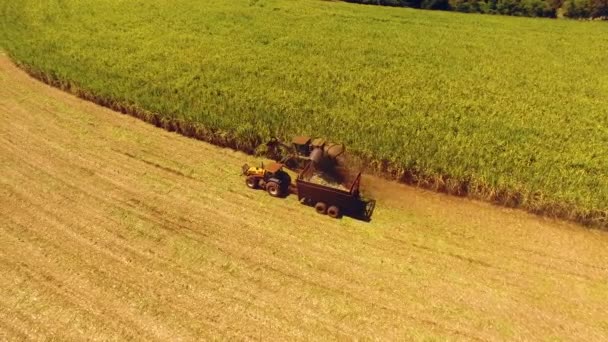 Vista Aérea Campo Cultivo Trator — Vídeo de Stock