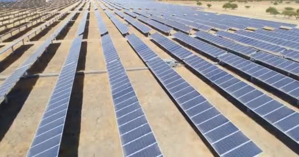 Vue Aérienne Des Panneaux Solaires Éco Énergie — Video