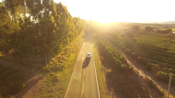 Traffico Attraverso Campo Coltivato Verde — Video Stock