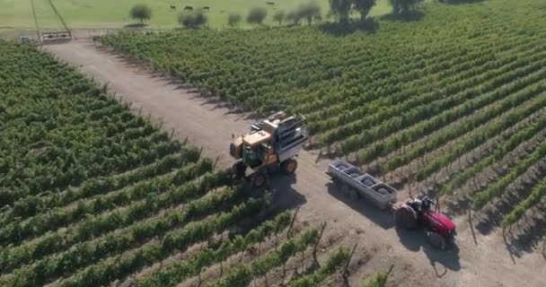 Aerial View Field Cultivating — Stock Video