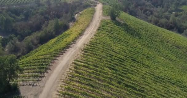 Luchtfoto Van Akkerbouw — Stockvideo