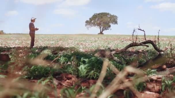 Volwassen Man Werkig Het Veld — Stockvideo